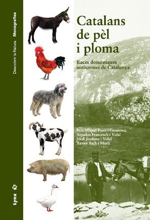CATALANS DE PEL I PLOMA | 9788496553026 | PARÉS CASANOVA, PERE MIQUEL/FRANCESCA VIDAL, AMADEU/JORDANA VIDAL, JORDI/SUCH MARTÍ, XAVIER | Llibreria Online de Tremp