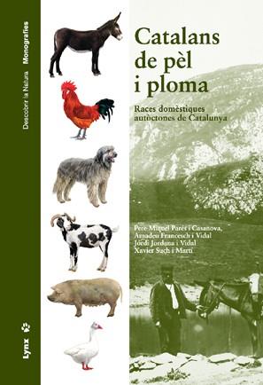 CATALANS DE PEL I PLOMA | 9788496553026 | PARÉS CASANOVA, PERE MIQUEL/FRANCESCA VIDAL, AMADEU/JORDANA VIDAL, JORDI/SUCH MARTÍ, XAVIER