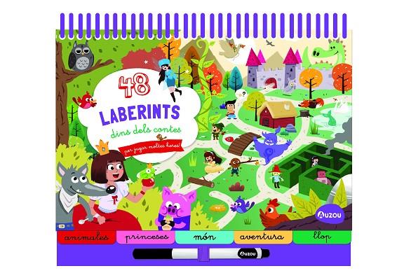 48 LABERINTS DINS DELS CONTES... PER JUGAR MOLTES HORES! | 9791039533447 | DESCONOCIDO | Llibreria Online de Tremp