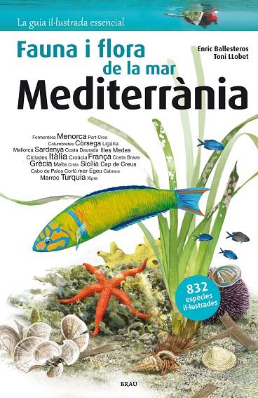 FLORA I FAUNA DE LA MAR MEDITERRÀNIA | 9788415885252 | BALLESTEROS SAGARRA, ENRIC | Llibreria Online de Tremp