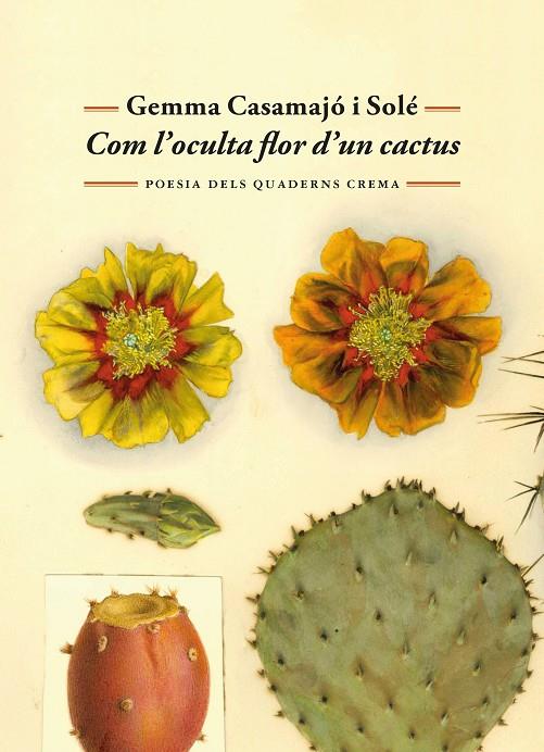 COM L'OCULTA FLOR D'UN CACTUS | 9788477277071 | CASAMAJÓ I SOLÉ, GEMMA | Llibreria Online de Tremp