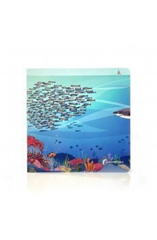 UN PASEO POR EL MAR | 9788412906844