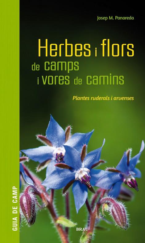HERBES I FLORS DE CAMPS I VORES DE CAMINS | 9788418096082 | PANAREDA CLOPÉS, JOSEP M | Llibreria Online de Tremp