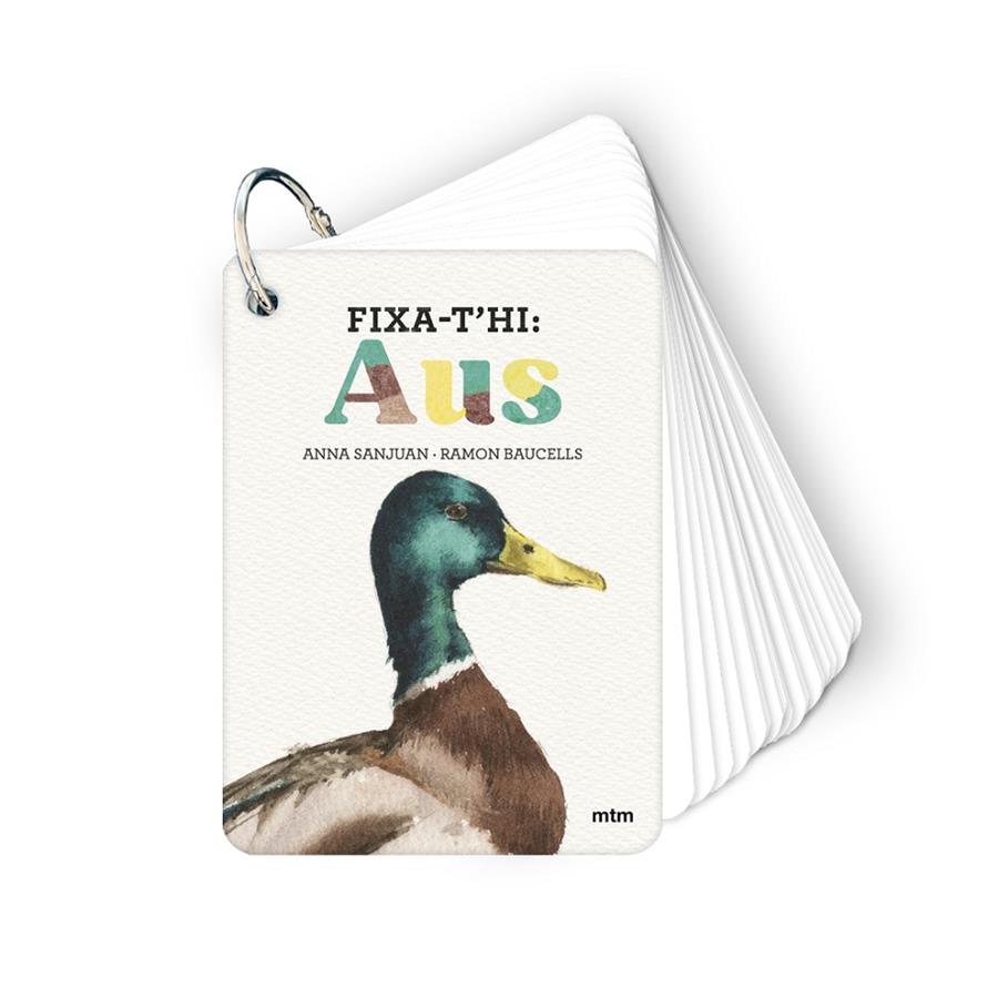 FIXA-T'HI: AUS | 9788410407640 | SANJUAN LLORENS, ANNA/BAUCELLS COLOMER, RAMON | Llibreria Online de Tremp