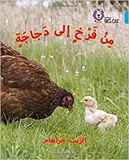 BC 7 - CHICKEN TO HEN (ARABIC) | 9780008185626 | Llibreria Online de Tremp
