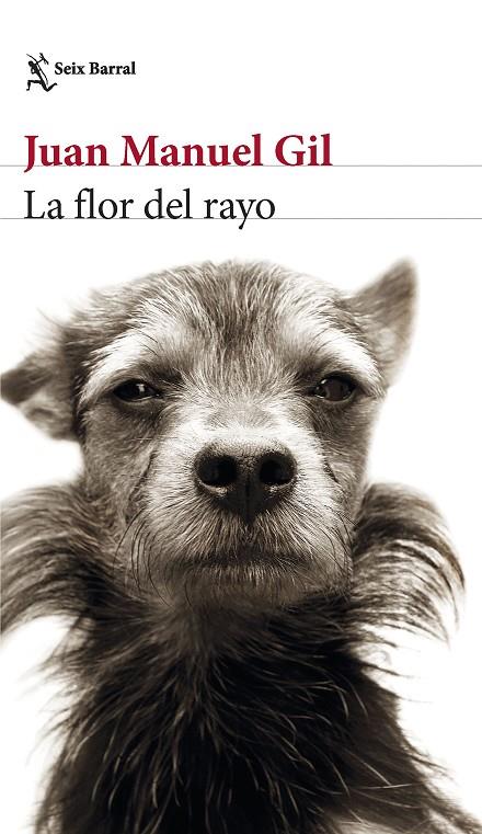 LA FLOR DEL RAYO | 9788432241574 | GIL, JUAN MANUEL | Llibreria Online de Tremp