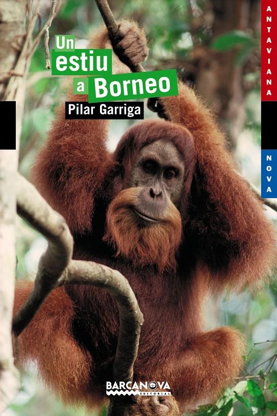 ESTIU A BORNEO, UN | 9788448921071 | GARRIGA I ANGUERA, PILAR | Llibreria Online de Tremp