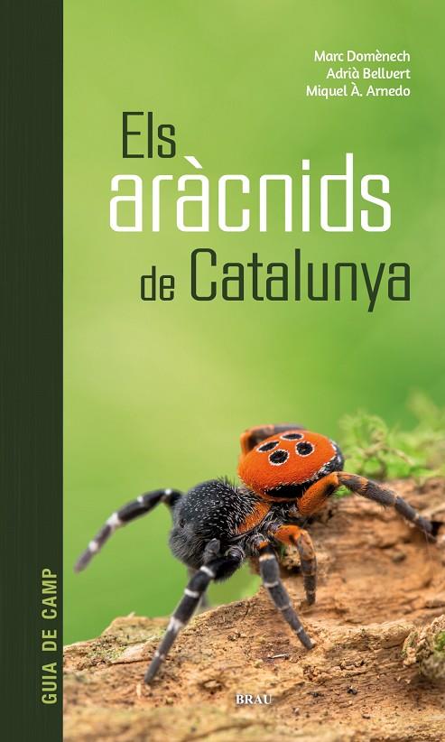 ELS ARÀCNIDS DE CATALUNYA | 9788418096686 | DOMÈNECH ANDREU, MARC/BELLVERT BANTÍ, ADRIÀ/ARNEDO LOMBARTE, MIQUEL ÀNGEL | Llibreria Online de Tremp