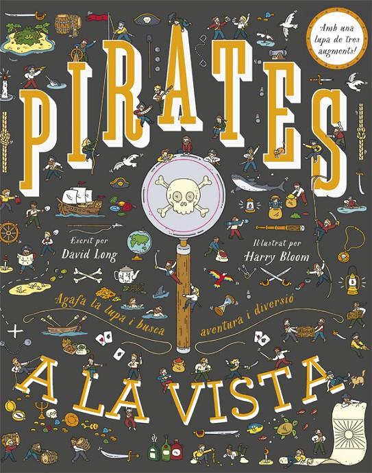 PIRATES A LA VISTA | 9788424662172 | LONG, DAVID | Llibreria Online de Tremp