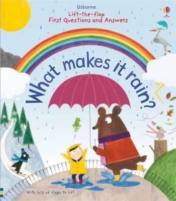 WHAT MAKES IT RAIN | 9781409598817