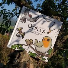 OCELLS | 9788412009057 | DANI GÓMEZ | Llibreria Online de Tremp