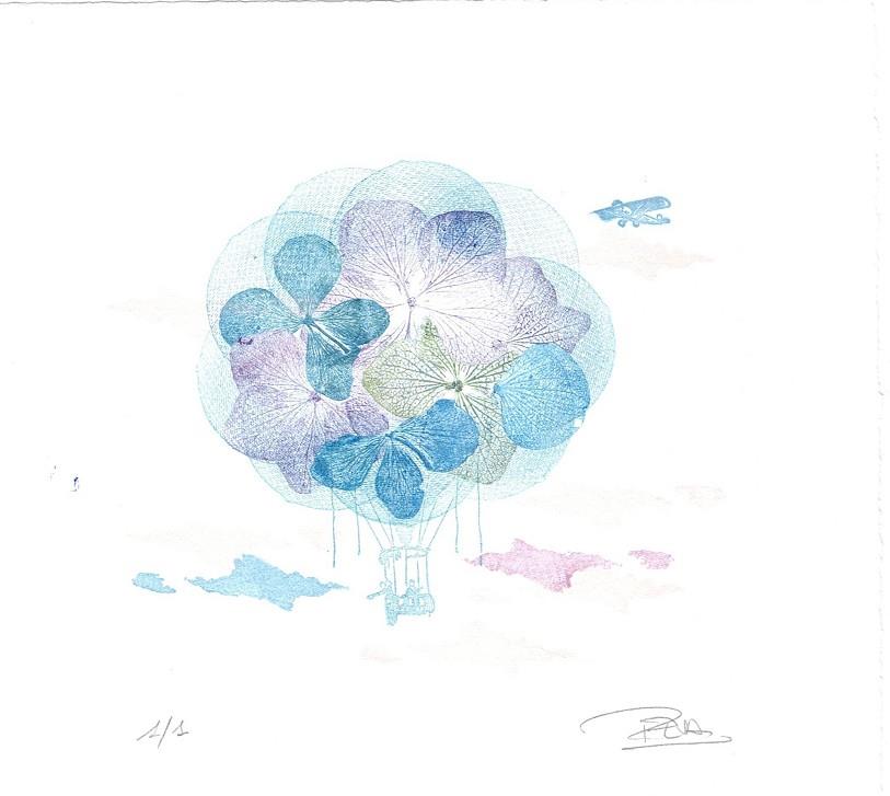 IL·LUSTRACIÓ NIVELLS DE VIDA | ROSA EVA 17