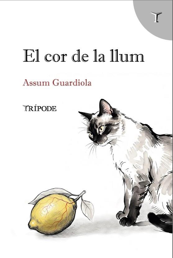 EL COR DE LA LLUM | 9791399090376 | GUARDIOLA, ASSUM | Llibreria Online de Tremp