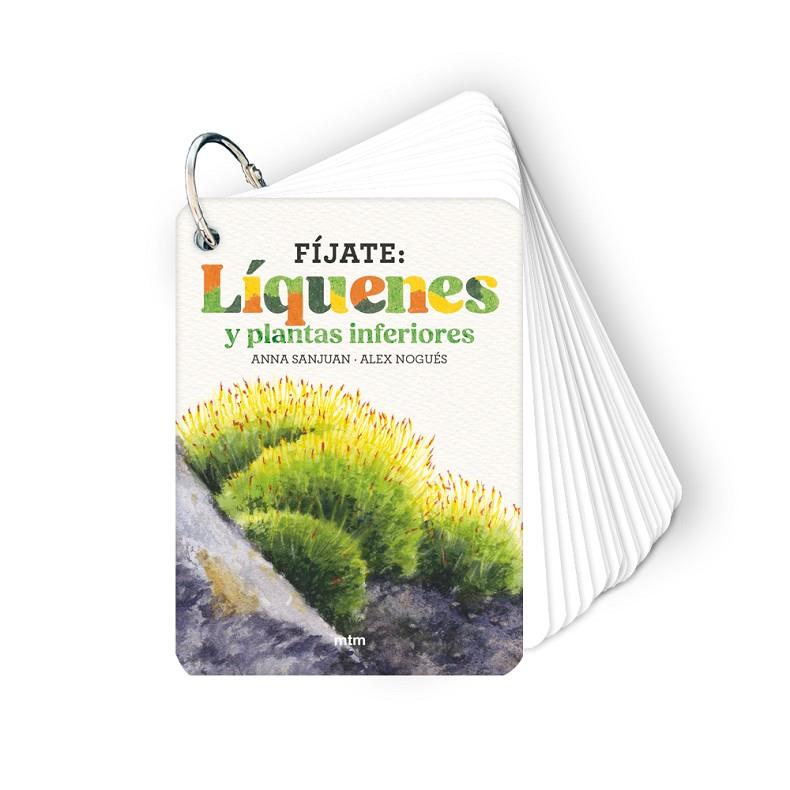 FÍJATE: LÍQUENES Y PLANTAS INFERIORES | 9788410407619 | SANJUAN LLORENS, ANNA/NOGUÉS, ALEX | Llibreria Online de Tremp