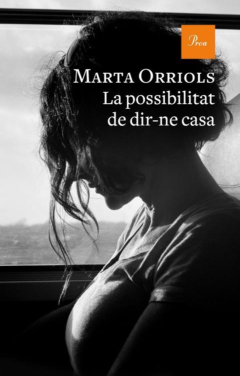 LA POSSIBILITAT DE DIR-NE CASA | 9788475889870 | ORRIOLS, MARTA | Llibreria Online de Tremp