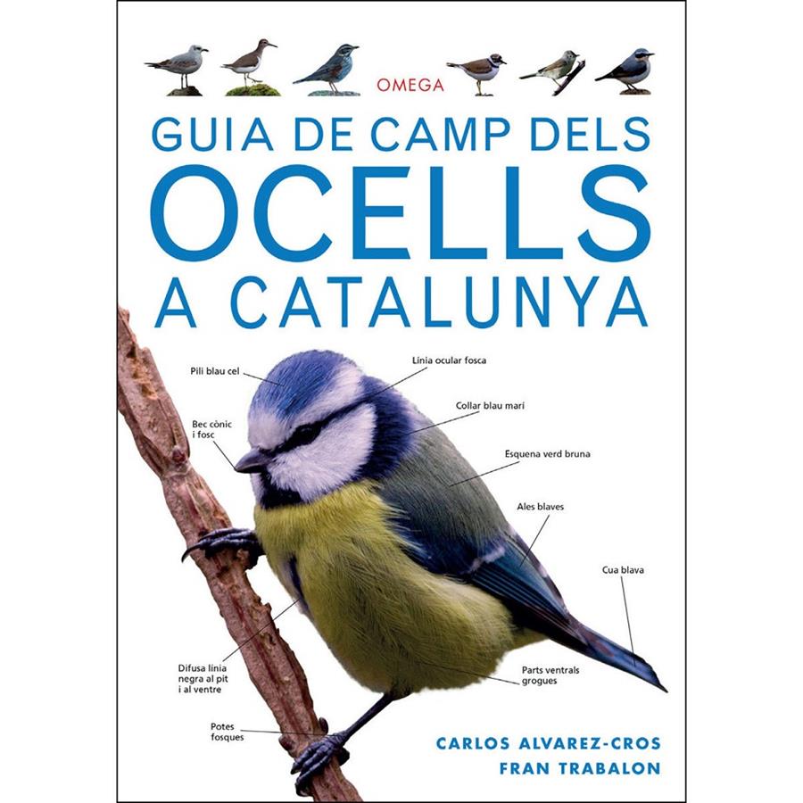 GUIA DE CAMP DELS OCELLS A CATALUNYA | 9788428216562 | ALVAREZ CROS, CARLOS/TRABALON CARRICONDO, FRAN | Llibreria Online de Tremp