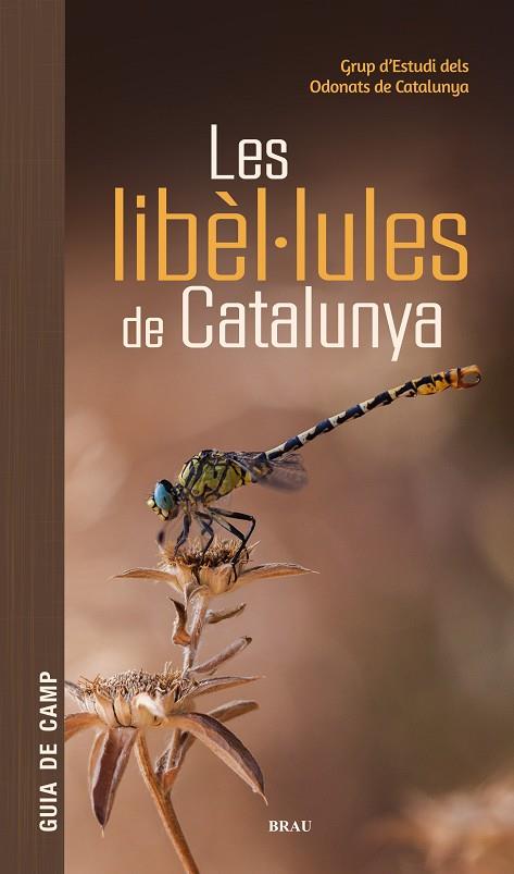 LES LIBÈL·LULES DE CATALUNYA | 9791387701178 | GRUP D'ESTUDIS DELS ODONATS DE CATALUNYA | Llibreria Online de Tremp