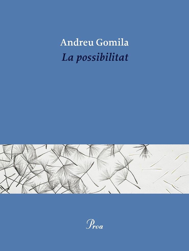 LA POSSIBILITAT | 9791388369155 | GOMILA, ANDREU | Llibreria Online de Tremp
