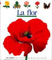 FLOR, LA | 9788434835375 | METTLER, RENÉ/DELAFOSSE, CLAUDE/GALLIMARD JEUNESSE, ÉDITIONS