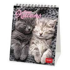 CALENDARI 2023 SOBRETAULA KITTENS | 8054117623364 | Llibreria Online de Tremp