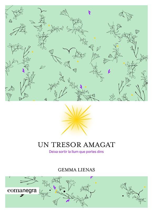 UN TRESOR AMAGAT | 9788416605347 | LIENAS MASSOT, GEMMA