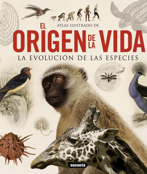 ORIGEN DE LA VIDA, EL | 9788467713336