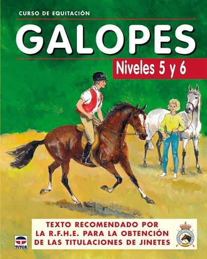 CURSO DE EQUITACIÓN. GALOPES NIVELES 5 Y 6 | 9788479025625 | LOS AUTORES DE GALOPES