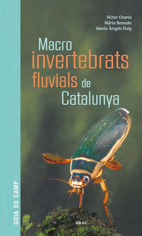 MACROINVERTEBRATS FLUVIALS DE CATALUNYA | 9788418096204 | OSORIO ÁLVAREZ, VÍCTOR/PUIG GARCÍA, M. ÁNGELES/BONADA CAPARRÓS, NÚRIA | Llibreria Online de Tremp