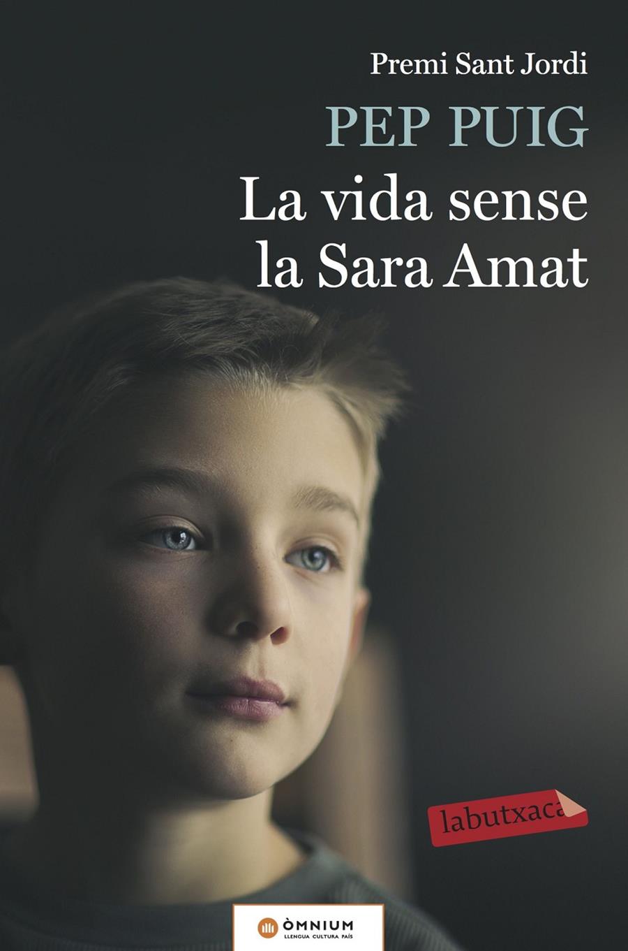 LA VIDA SENSE LA SARA AMAT | 9788417031183 | PUIG PONSA, PEP | Llibreria Online de Tremp