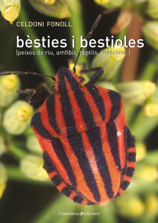 BESTIES I BESTIOLES (PEIXOS DE RIU, AMFIBIS, REPTILS, INSECT | 9788497917568 | FONOLL, CELDONI