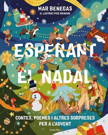 ESPERANT EL NADAL. CONTES, POEMES I ALTRES SORPRESES PER A L'ADVENT | 9791388358012 | BENEGAS, MAR | Llibreria Online de Tremp