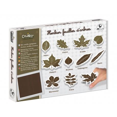 TAMPONS HERBARI , FULLES D'ARBRE | 3760119710944
