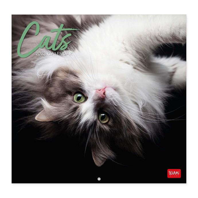CALENDARI 2023 PARET CATS | 8054117621926 | Llibreria Online de Tremp