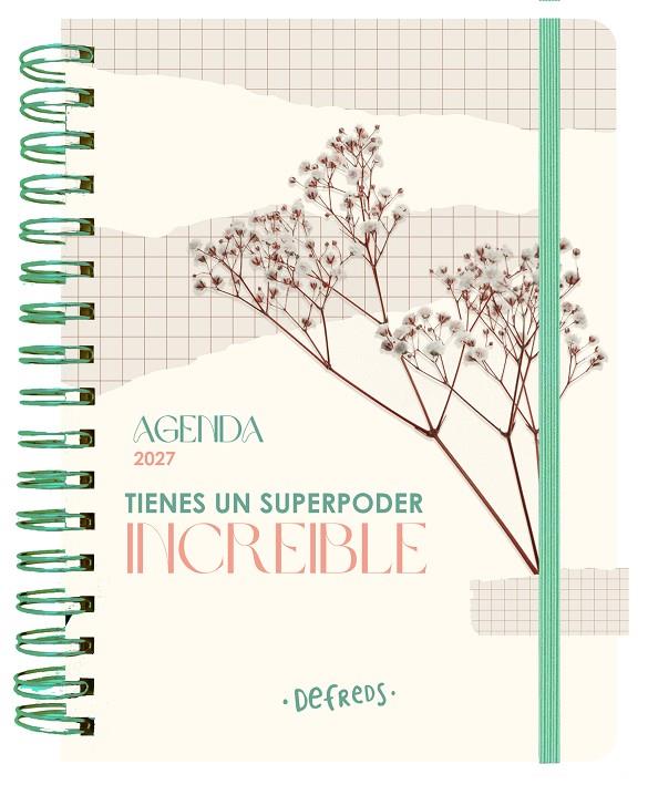 AGENDA ANUAL SEMANAL 2027 DEFREDS | 9788419434371 | DEFREDS | Llibreria Online de Tremp