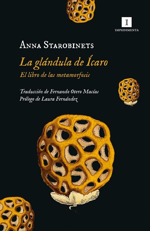 GLANDULA DE ICARO, LA | 9788419581020 | Llibreria Online de Tremp
