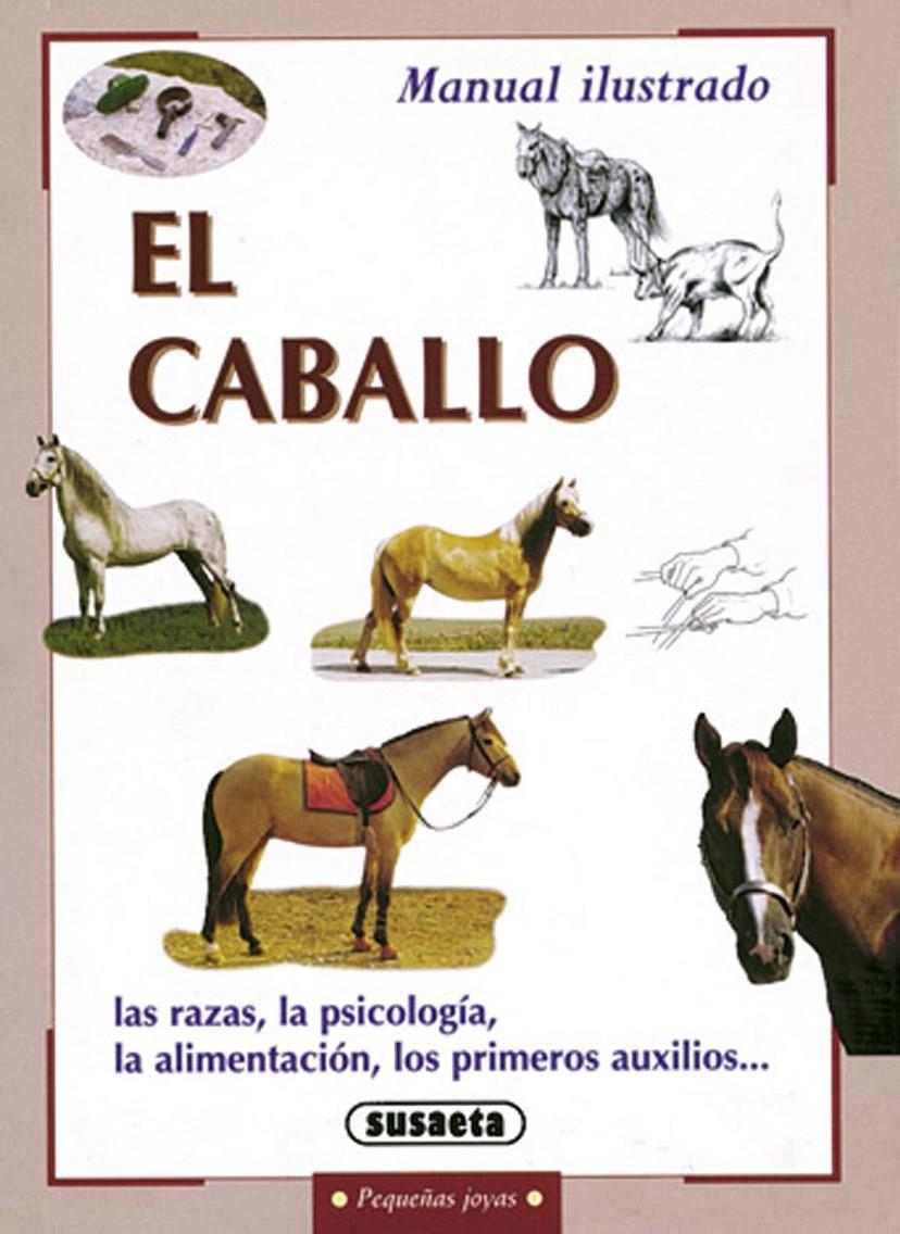 CABALLO, EL | 9788430597437 | ZORZAN, CINZIA | Llibreria Online de Tremp