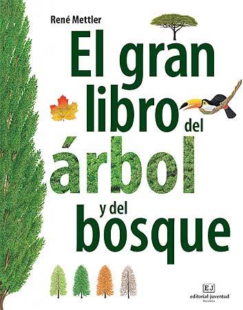 EL GRAN LIBRO DEL ARBOL Y DEL BOSQUE | 9788426139399 | METTLER. RENÉ | Llibreria Online de Tremp