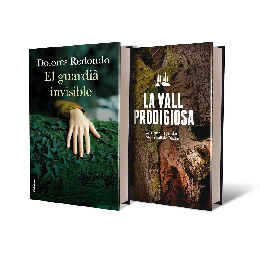 GUARDIÀ INVISIBLE, EL + GUIA DE BAZTAN | 9788466419154 | REDONDO, DOLORES 