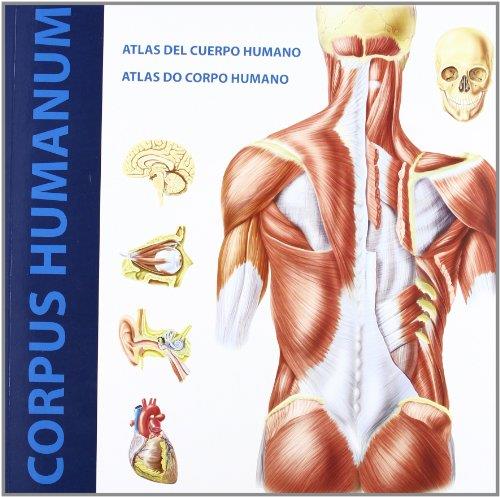 ATLAS DEL CUERPO HUMANO | 9788496449763 | SCHLEIFER, SIMONE