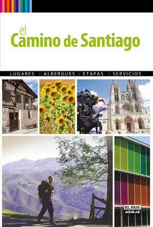 CAMINO DE SANTIAGO A PIE, EL | 9788403509054 | NADAL, PACO