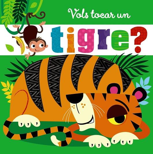 VOLS TOCAR UN TIGRE? | 9788499062624 | VV AA