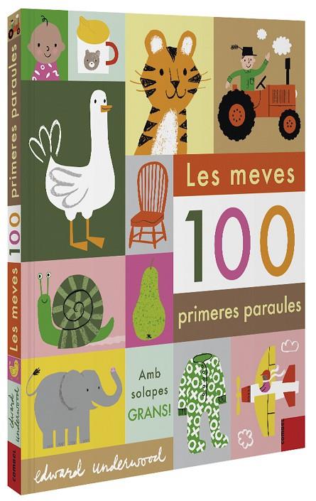 LES MEVES 100 PRIMERES PARAULES | 9788491015932 | Llibreria Online de Tremp