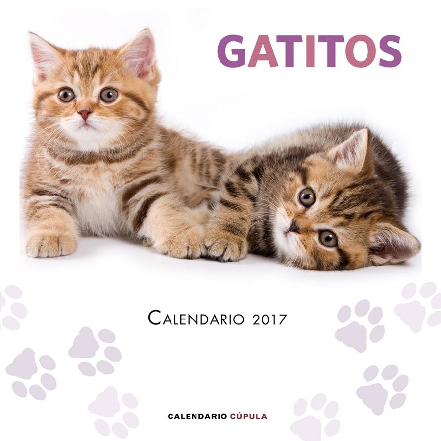 CALENDARIO GATITOS 2017 | 9788448022594 | AA. VV. | Llibreria Online de Tremp