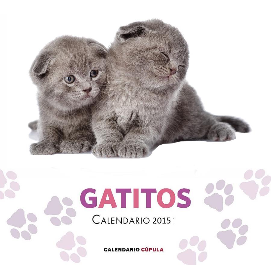 CALENDARIO GATITOS 2015 | 9788448019730 | AA. VV.