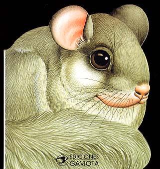 UN LIRON EN EL BOSQUE | 9788439289050 | Llibreria Online de Tremp