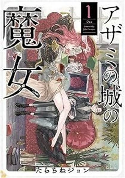 LA BRUIXA DEL CASTELL DELS CARDS | 9788412998993 | TARACHINE, JOHN | Llibreria Online de Tremp