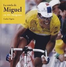 LA ESTELA DE MIGUEL EN 101 IMÁGENES | 9788494352287 | TIGERO VIETA, CARLOS | Llibreria Online de Tremp