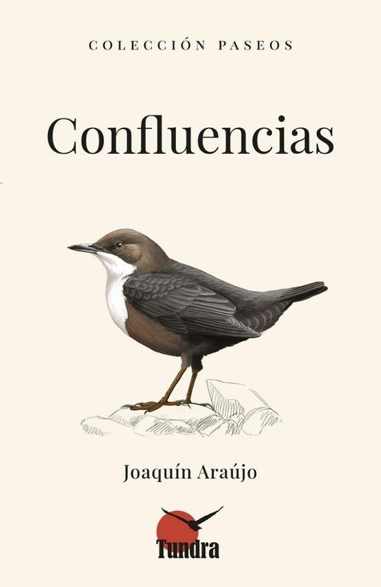 CONFLUENCIAS | 9791387759322 | JOAQUIN ARAÚJO