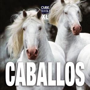 CABALLOS XL | 9788496865099 | ANÓNIMO | Llibreria Online de Tremp