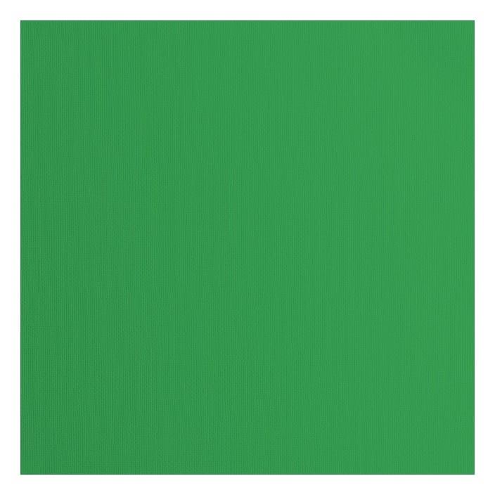FLORENCE CARDSTOCK TEXTURE HOLLY | 8716052200764 | Llibreria Online de Tremp